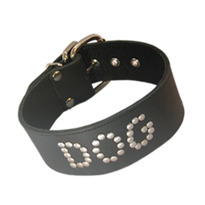 Dog Collar 