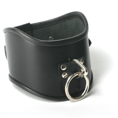 Leather Locking Posture Collar 