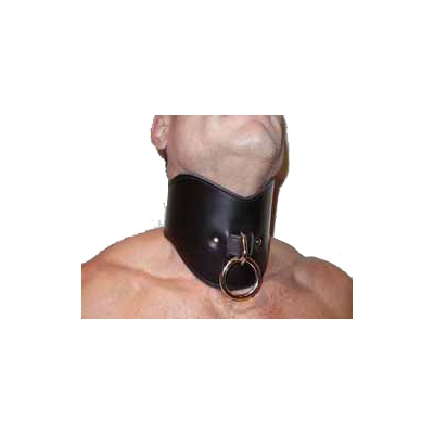 Leather Posture Collar