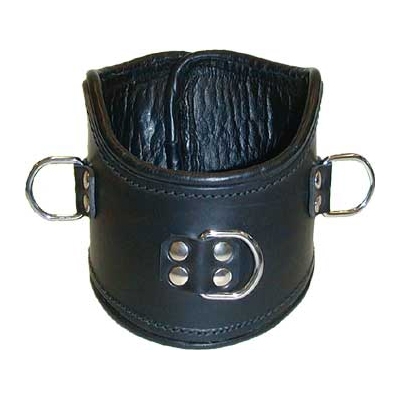 Leather Positioning Collar